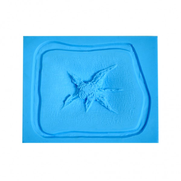 P.T.M. MO-BHEX-003 - 6 Pt. Starfish Pattern Bulet Hole Exit Wound Mold