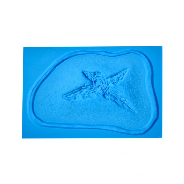 P.T.M. MO-BHEX-001 - 4 Pt. Starfish Pattern Bulet Hole Exit Wound