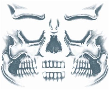 Tinsley Transfers Face Tattoo - Skull Face
